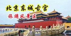 插逼动态视频中国北京-东城古宫旅游风景区